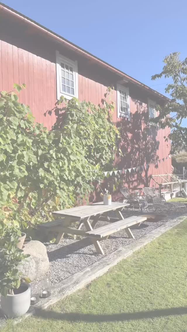 Velkommen! 🌸🍃🌸
til SOMMERMARKED på Ingatun ~
Tenvikveien 17, Nøtterøy ~
.
SØN 7.juni kl 11-15 🌸🍃🌸
.
Så mange flotte utstillere som kommer! Det blir keramikk, akvareller, blomster, vintage, gårdsmat, klær for kule kvinns, interiør, asparges mm… 🤩
.
Vi lager hygge i hagen med salg av kaffe og bakverk 🌸🍃🌸 velkommen til oss!
.
@ingatun_notteroy @aapenthav @gryskeramikk @karikafjeld @florworks.as @frebergs.no @grovesle @konglerogkvist @einar.m.schistad
#sommermarked #hyggeihagen #ingatun #nøtterøy #velkommentiloss
