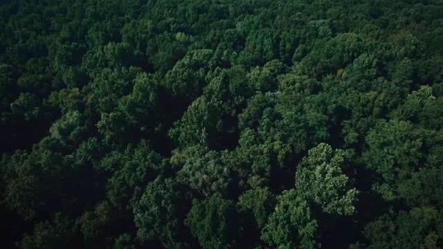 Un super lindo video que hicimos con @bor.boutique @estudiolaurarikli @clooooooooooo @dana_lopez_ @don_morita