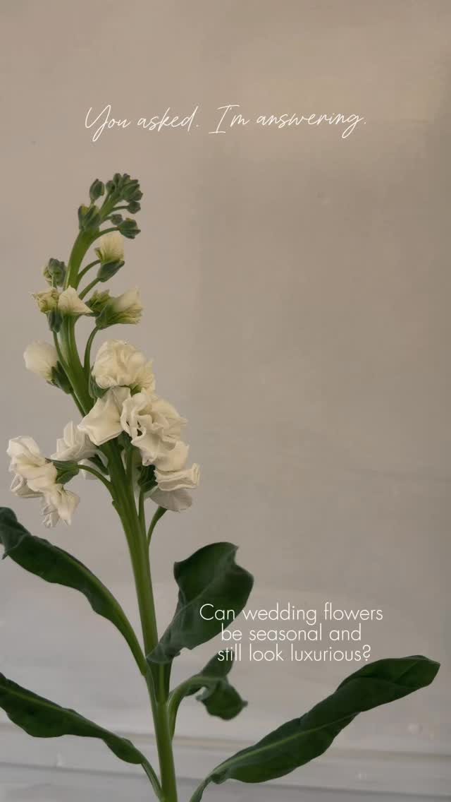 Absolutely. In fact, that’s where the magic usually happens.
Seasonal flowers are fresher.
More characterful.
Full of movement and natural beauty that imported flowers often can’t match.
Luxury doesn’t come from flying flowers across the world.
It comes from thoughtful design, beautiful ingredients, and knowing how to use what’s naturally at its best.
Some of the most elegant weddings are built entirely around what the season is already offering.
If you’re planning your wedding and want flowers that feel both seasonal and elevated, feel free to enquire to check availability.
seasonal wedding flowers UK, British wedding flowers, luxury seasonal flowers, garden style wedding florist Rutland, natural wedding flowers UK