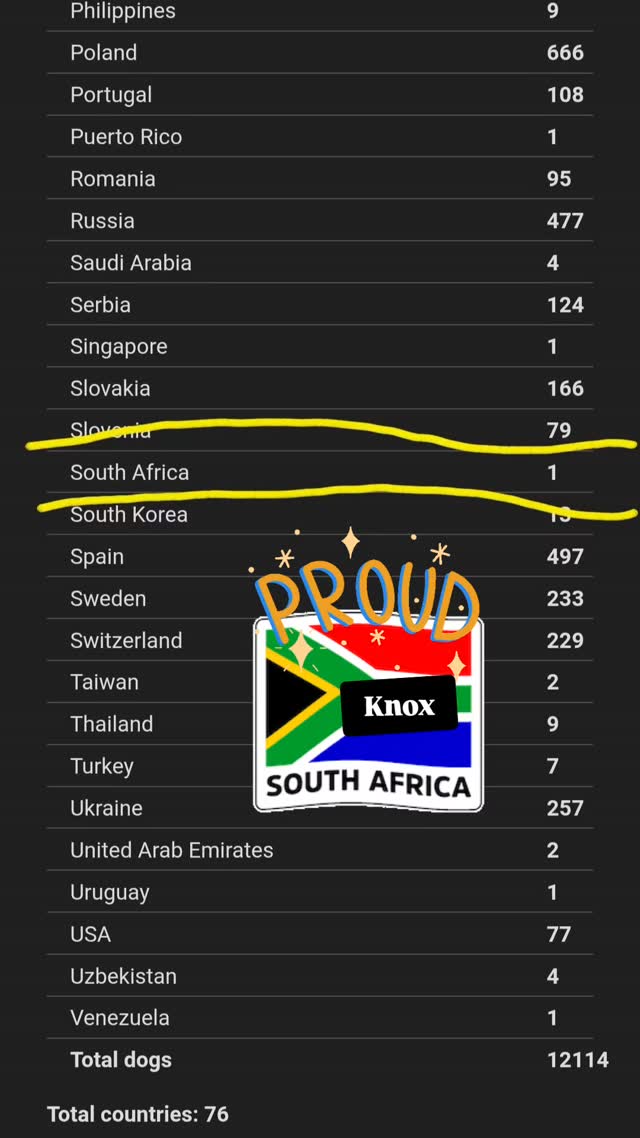 South Africa's Knox only dog entered from ๐ฟ๐ฆ
#worldchallengeoftopdogs2026 #wds2026๐ฎ๐น #teamKnox