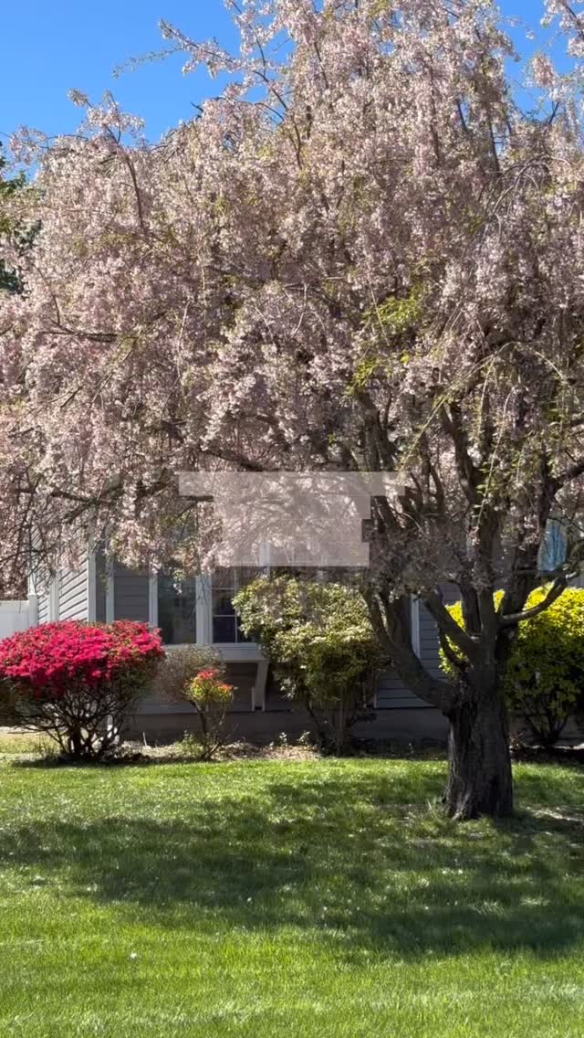 New listing? We can have your sign up in under 48 hours 🙌🏡
#longislandrealtor #longislandrealestate #realestate #longisland