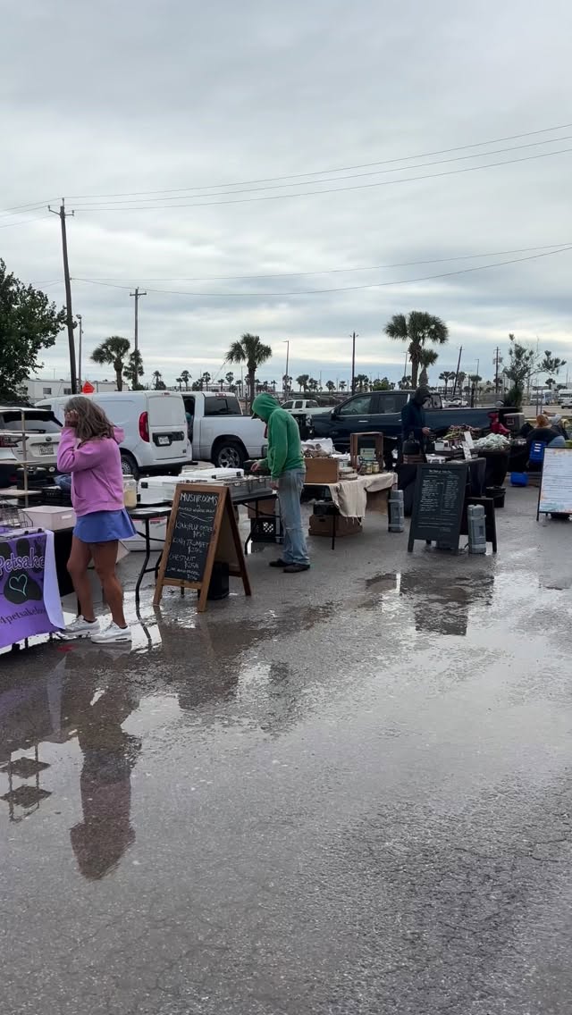 It’s a windy day at @gofarmersmarket but WE ARE STILL HERE! Come on out and support local business. And nosh on some #minicakes #cakepops and #maximinis