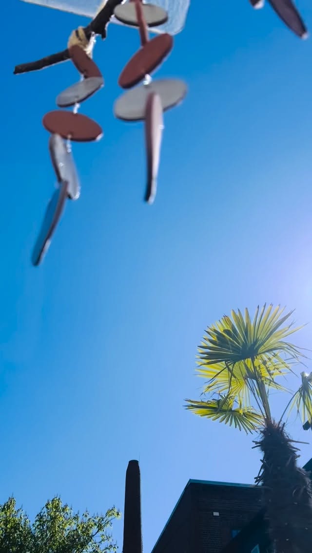 Sonne im Gesicht, Wind um die Nase und eine Tasse Tee vor dem Studio im alten Backstein-Borselhof.
Zwischen rauen Mauern und warmem Sonnenlicht, zwischen Ankommen und Loslassen – wie auf einer Drehscheibe, die sich langsam zentriert. Und plötzlich fühlt sich alles wieder sortiert an.
Infos & Workshops: cl-ay.de
·
Sun on my face, wind in my hair, and a cup of tea outside the studio in the old brick Borselhof.
Between rough walls and warm sunlight, between arriving and letting go – like a turntable slowly finding its center. And suddenly, everything feels sorted again.
Info & workshops: cl-ay.de
#achtsamkeit
#drehscheibenkurs
#zentrieren