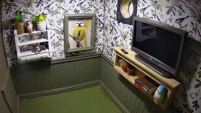 When choosing a place to rent, it’s really difficult if one of you really likes it, but there other one is not so keen.
This client requested a viewing with his partner.
He loves it and visited several times. She popped in, but not for long. She is just not sure. Let’s hope he can convince her that taking on a furnished property would be a great idea … just move straight in and add a few soft furnishings…….
I would really like to get this property rented out now…. Just about all the other rental properties have tenants now.