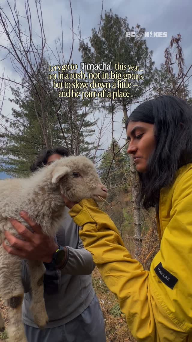 Some journeys aren’t about reaching a place.
They’re about slowing down enough to feel it.
Soul Free Himachal is not a checklist trip.
It’s waking up in a village, walking without hurry,
sharing space with mountains, people, and silence.
We’re opening a few journeys this May.
If this feels like something you’ve been looking for,
DM us for dates and the detailed itinerary.