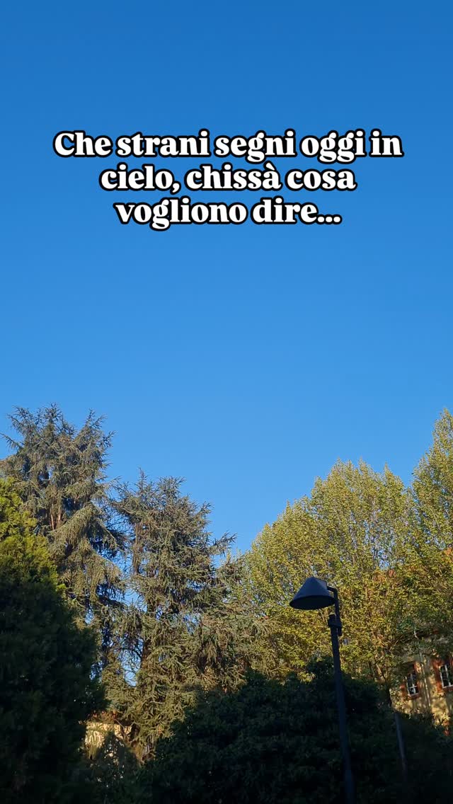 Questo weekend!!
Manca davvero pochissimo, avete preso il biglietto?
No? Correte, anche il cielo vi ha dato un segno chiaro!
Link in bio
#teatromilano #spettacolo #teatro #musical #eventimilano