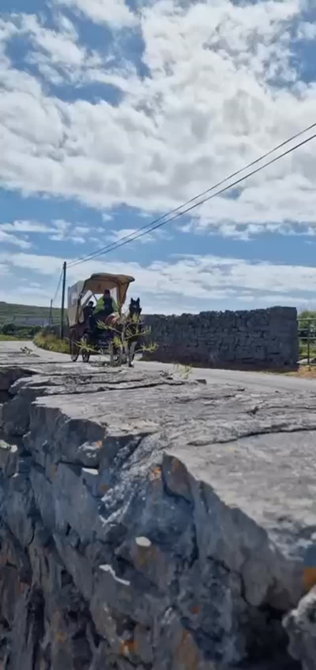 Weddings on Inis Mór? There’s truly nothing like it.
Whether it’s a festival vibe gathering or a more laid back with family and friends, the island brings something very special to your day. Fresh Atlantic air, wide open views, and that feeling of being somewhere completely different – without having to go far.
At Aran Islands Hotel, we’ve hosted everything from simple civil ceremonies to full weekend wedding parties. With our on-site bar and restaurant, scenic chalets and space for dancing into the night, everything is in one place – and just that bit more memorable.
Thinking of tying the knot out west? Let’s have a chat.
📍Inis Mór – Aran Islands
🍽️ Food, drinks & music all under one roof
💬 Email info@aranislandshotel.com for dates
#InisMór #AranIslands #IrishExplorer #aranconnemara #WildAtlanticWay #Irelandgram #DiscoverIreland