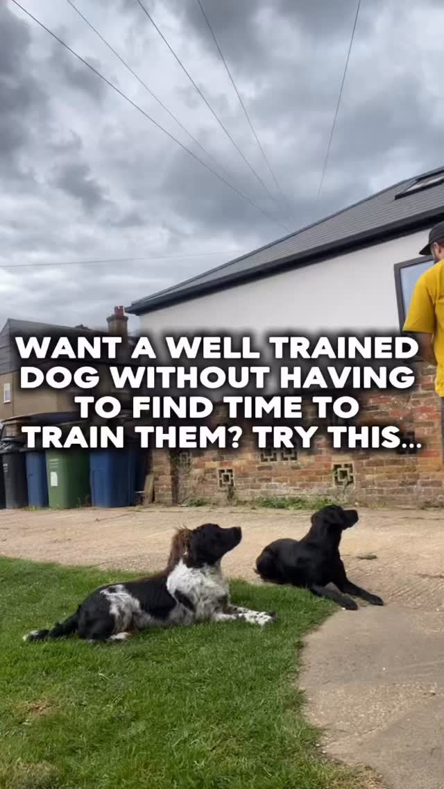 Need help training your dog?
Pop us a dm and let’s chat
#chalfontstpeter #chalfontstgiles #gerrardscross #dogwalker🚶🏻♂️🦮💨 #dogtrainer