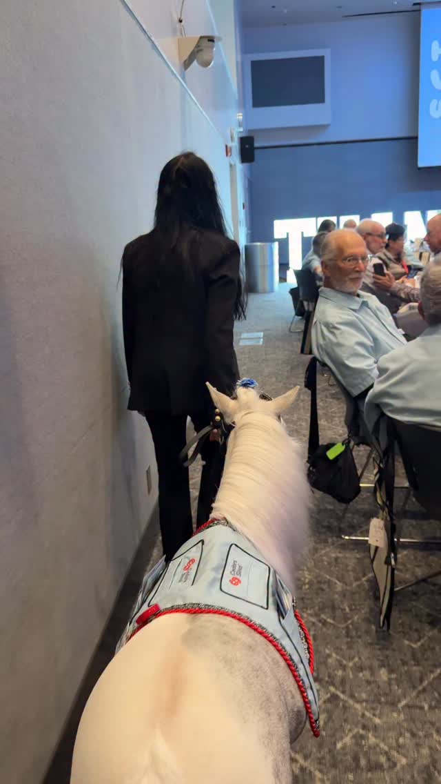 The Cedars-Sinai Volunteer Luncheon was a beautiful event expressing their gratitude for all their dedicated volunteers! Sherry, Sharon, Donna, BLUE MOON and I enjoyed meeting the amazing volunteers. Thank you Sheila Quintana for introducing our new program at Cedars with our therapy horses. We are honored to be part of the wellness program of this incredible hospital! @cedarssinai #minitherapyhorses #horse #horses #wellness #hope #compassion #minihorse #healing #love #community #comfort #hospital #happiness #joy @platinumperformance @equusfoundation @lafdfoundation @losangelesfiredepartment @lasd_lhs @theequestrianfoodie @calabasassaddlery @equinebalancedsupport @integrityhorsefeed @easycareinc @casiomusicgear @rose_parade