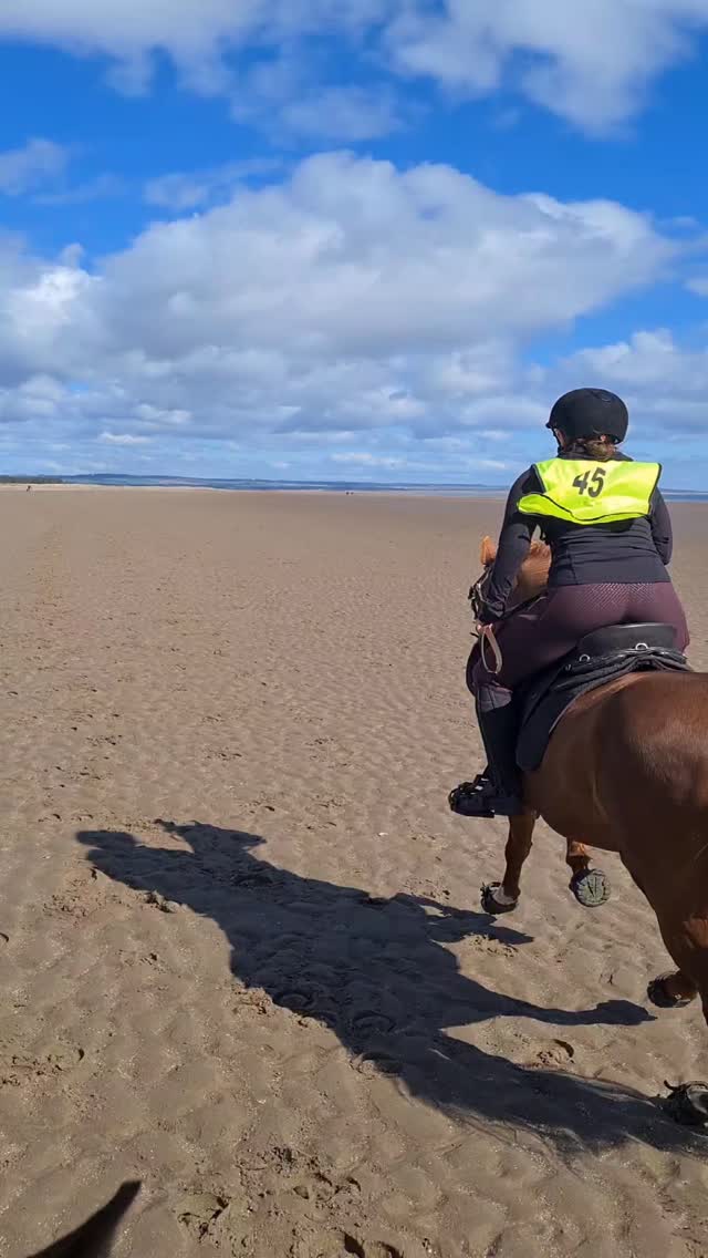 Ponies at their first endurance (pleasure distance) ride today. Loving the sand and the weather!
#adventure #scotland #pony