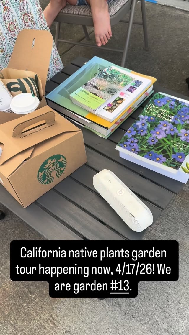 Visit Golden State Gardensā Demonstration Garden today, 4/17/26, from 10-4. Register at GNGT.org. We are garden plot #13.
.
.
.
#landscapedesigner #californianativeplants #lawnconversion