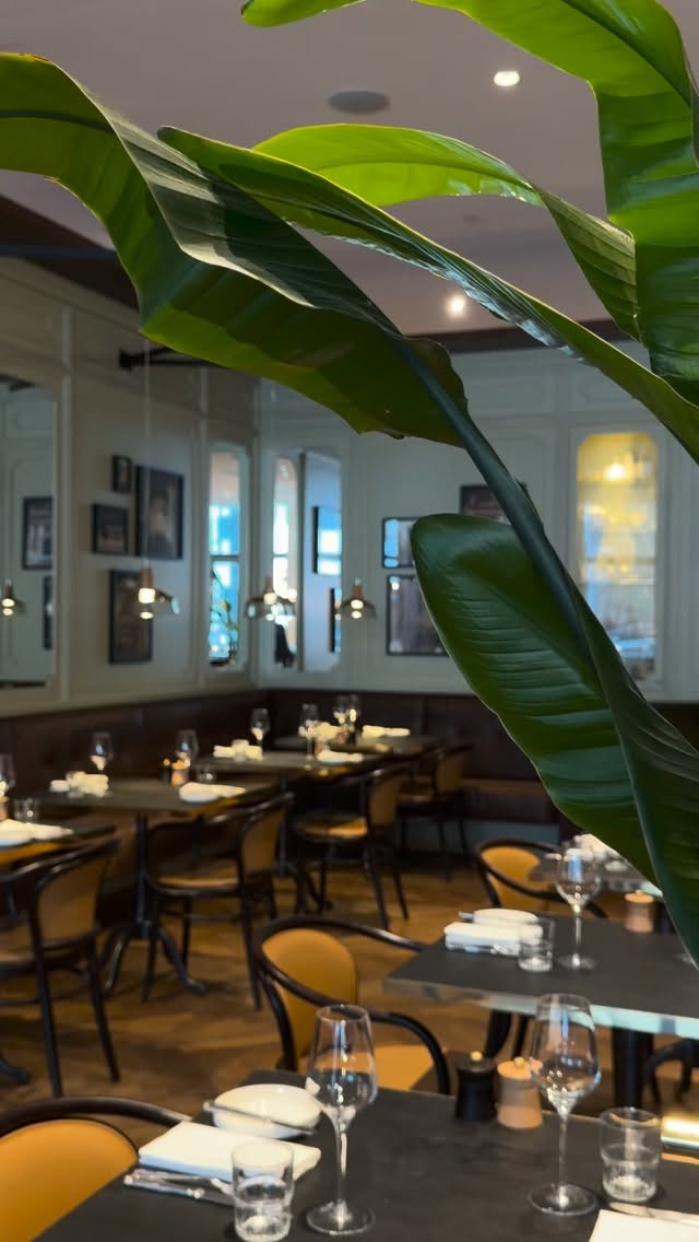 Behind the scenes at Eugen21 â¨
Our new menu is launching today, bringing together thoughtfully selected ingredients, seasonal highlights, and bold yet balanced flavours. Every dish has been created with attention to detail, quality, and a true passion for fresh, honest cooking.
#foodlovers #newmenu #bestoftheday