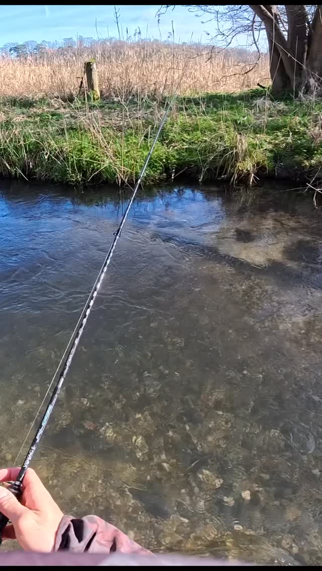 Sometime you win sometime you loose 👌🏻
#fishing #fish #trout #troutseason