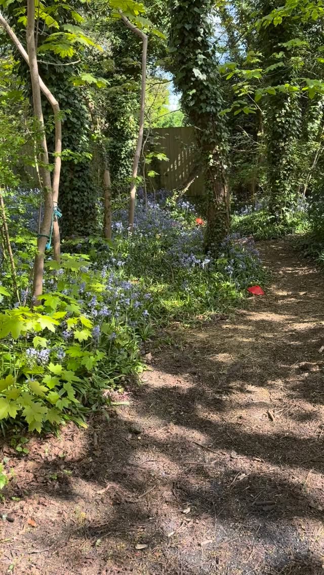 Enjoying our first day back from term in the forest 🌳
#montessori #forestschool #highgatemums #highgatewoods #outdoorlearning