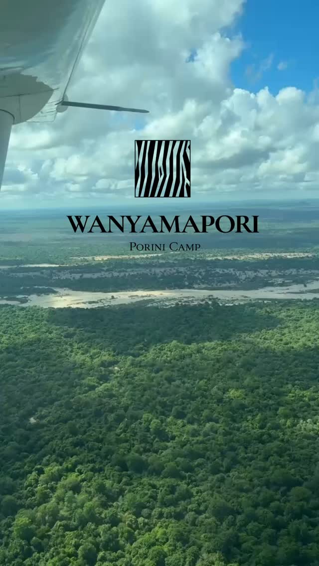 Porini Camp presents Nyerere National Park, Tanzania. Find out why the park is a hidden gem and why you better visit it soon!