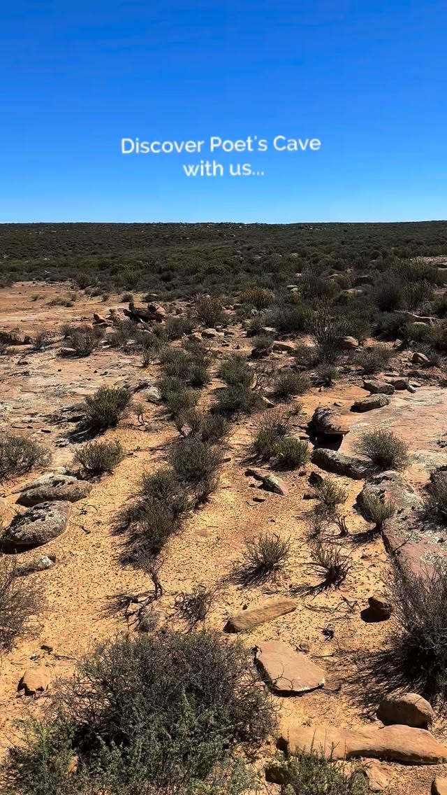 There’s a spot on the reserve that feels like it’s holding onto a few secrets.
It’s a bit of a hike to get to Poet’s Cave, but standing where Afrikaans poet N.P. van Wyk Louw and his brothers spent their childhood summers makes the three-hour walk worth it.
You can definitely see why those Karoo plains ended up in his poetry.
It’s the kind of place that makes you want to stop talking for a second and just listen to the wind.
If you’re up for a bit of a trek and some local history that isn’t from a textbook, this is the one to do.
#luxuryecotravel #darkskyreserve #travelsouthafrica #karoo #karoolife
karooaccommodation hikingadventures hikingsouthafrica cheetahconservation cheetah sustainabletravel stargazing astrophotography sutherland astronomylover wideopenspaces natureescape nightphotography nightsky astronomy thisissouthafrica