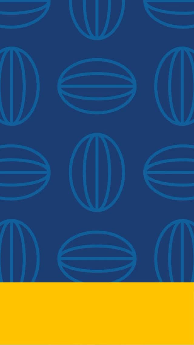 🌍 We asked 3 @johnadamshsnyc students one question: “What does Earth Day mean to you?” Here’s what they had to say. 💚 #EarthDay #JohnAdams #StudentVoices #EarthDay2026