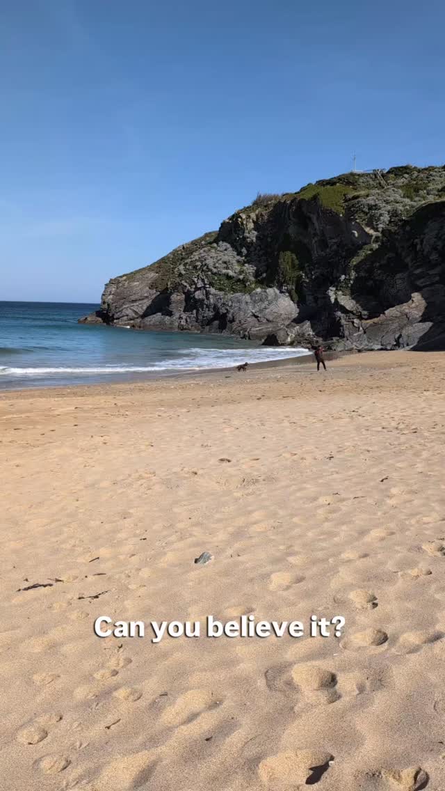 Can you believe this is Cornwall and not the Caribbean. What a stunner of a day for a wedding!
S &C lucked in for the hottest day of the year so far... 🌞
Expert grower @hendrafarmflowers
@lustyglazebeach @lustyglazebeachweddings
#beachwedding #weddingfloristcornwall #weddingbouquet #lustyglazebeachweddings #lustyglaze