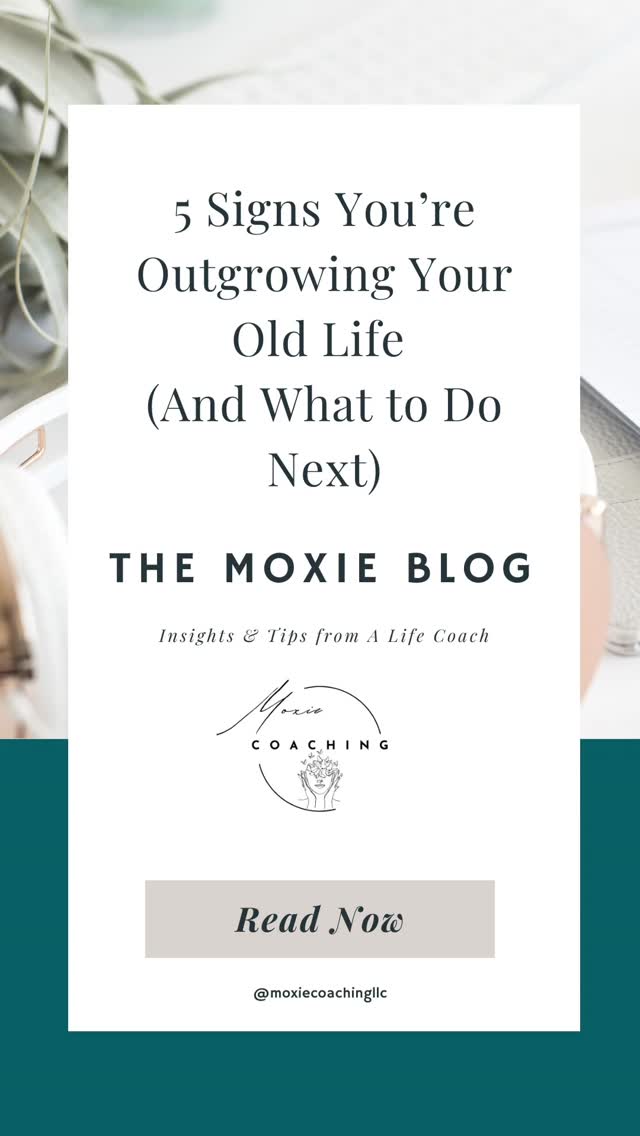 You’re not stuck—you’re evolving. 🌱
If your life no longer feels aligned, it may be a sign you’re outgrowing an old version of yourself.
In this post, I’m sharing 5 powerful signs you’re ready for your next chapter—and how to move forward with clarity and confidence.
✨ Your growth is calling. Are you ready to answer?
👉 Read more at the link in bio + schedule your FREE consultation to start your next chapter.
https://www.moxiecoachingllc.com/post/5-signs-you-re-outgrowing-your-old-life-and-what-to-do-next
#PersonalGrowth #SelfDiscovery #LifeTransitions #GrowthMindset #LevelUpYourLife Outgrowing NewChapter InnerWork
MindsetShift EmotionalGrowth SelfAwareness HealingJourney PersonalDevelopment