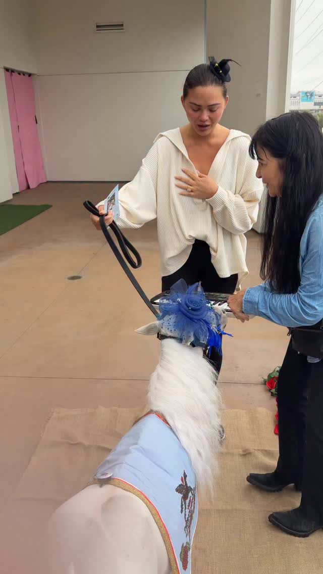 Chrissy Teigen loved our girls so much she was in tears. Chrissy has a very big heart and she almost made me cry! 💗🎹🦄 @chrissyteigen @johnlegend #horse #minitherapyhorses #wellness #compassion #hope #minihorse #healing #community #comfort #kindness @cedarssinai @ucla_pac @uclahealth @shrinershospitals @shrinerssocal @rose_parade @platinumperformance @easycareinc @washingtonpost @equinebalancedsupport @theequestrianfoodie #equine #love #happiness #joy @equusfoundation
