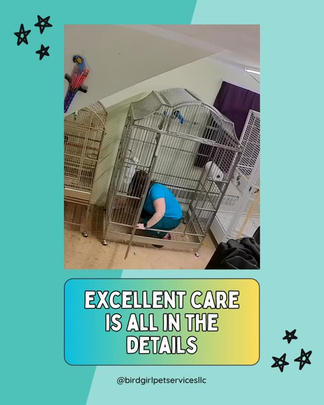 Some parts of exotic pet care are not glamorous, but they matter just as much as the visible parts.
A clean enclosure, a reset space, and a careful eye on the details are all part of the job. This is the kind of behind the scenes work that helps keep routines steady and pets safe, comfortable, and less stressed.
A day in the life around here usually looks a lot like this. Checking setups. Cleaning thoroughly. Watching behavior. Making sure each animal goes back into a space that is ready for them.
It may not be the flashy part of care, but it is one of the most important.
#BirdGirlPetServices #ExoticPetCare #BehindTheScenes #DayInTheLife #LongIslandPets