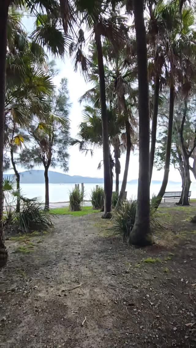 A peaceful morning at Tiona. 🌿
Rainforest surrounds, birds singing, the lake so still, and nature doing what it does best…
bringing us back to balance.
Today's practice...
Ba Duan Jin
Five Animals Qigong, Tiger 🍃🕊️
#fiveanimalqigong #baduanjin #qigong #location #friends