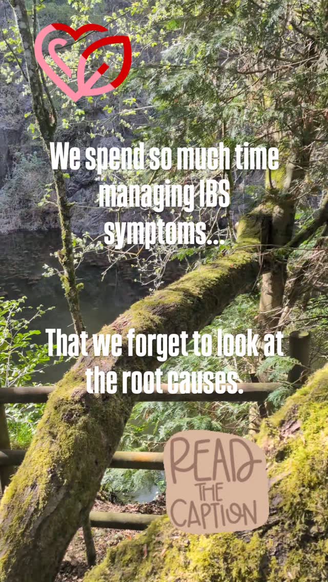 You don't have to put up with IBS.
You can liberate yourself without just working out a list of 'bad' foods
Working on your gut health and how that is interlinked to your nervous system is where the gold lies π
Digestive symptoms not only affect the food we take it but it also has an impact on
π« Our self esteem
π« Our relationships
π« Our life experiences
π« Our trust in ourselves and others
π« Our energy
π« Our sense of adventure
π« Our likelihood of developing serious illness and disease..
If you were free of IBS, what would be the first thing you'd do? π€β¨
Lucy π©·β₯οΈ
#ibs #nutrition #guthealth #microbiome #stressrelief