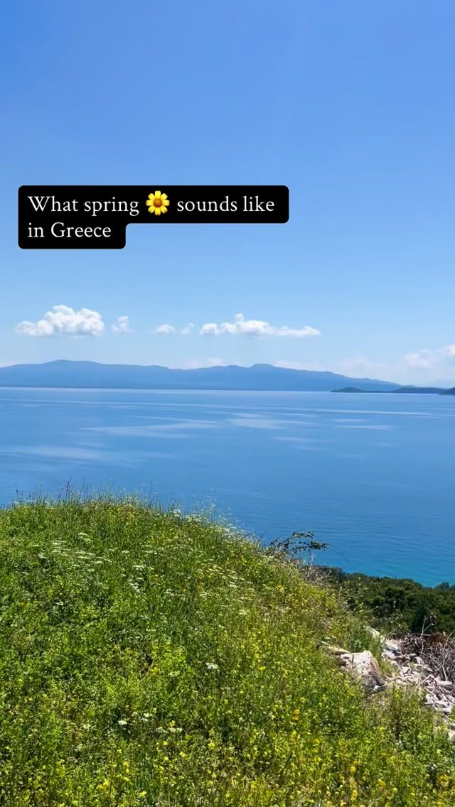 (FR) J’adore le « off-season » en Grèce. En printemps tout est fleurie, calme, apaisant, on entend les oiseaux, on sent les herbes et souvent on peut se baigner. Quoi demander de plus? 🌸 (ENG) I just love Greece during off-season and especially during spring. Everything is in bloom. It is peaceful and soothing. You can hear the birds singing, smell all herbs, and often go for a swim! Can you thing of a better holiday? 🌼 #offseasontravel #springdestinations #greekhotels #printempsété