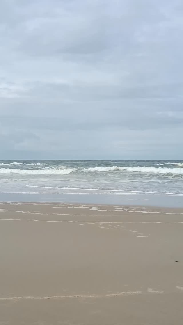 Belleza la naturaleza repleta de sabiduría.
Abrazos
Marce y Mage 🪷🤍🌿
#mujernatura21
#magetips
#limpiezasenergeticas
#esoterismo
#rituales