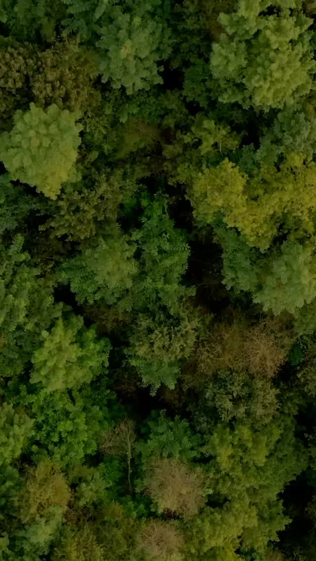 🌿 Happy Earth Day from All Spruced Up Cleaning Co! 🌍
We pride ourselves on being an eco-friendly cleaning company that puts the health and happiness of our staff and clients first — always.
Because a clean home is a happy home, and a happy home means a happier planet. 💚
Every product we use, every surface we touch, every space we leave sparkling — it’s all done with you AND the Earth in mind.
Thank you for trusting us to care for your home the right way. 🌱