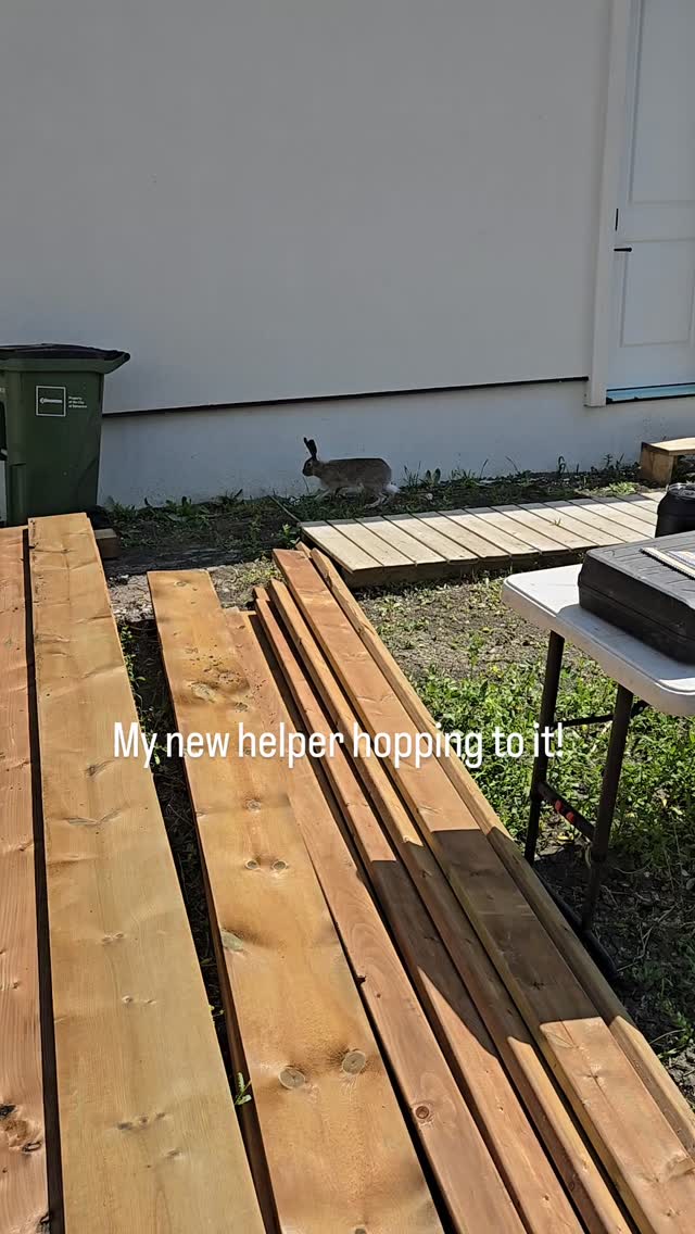 #hoptoit #deck