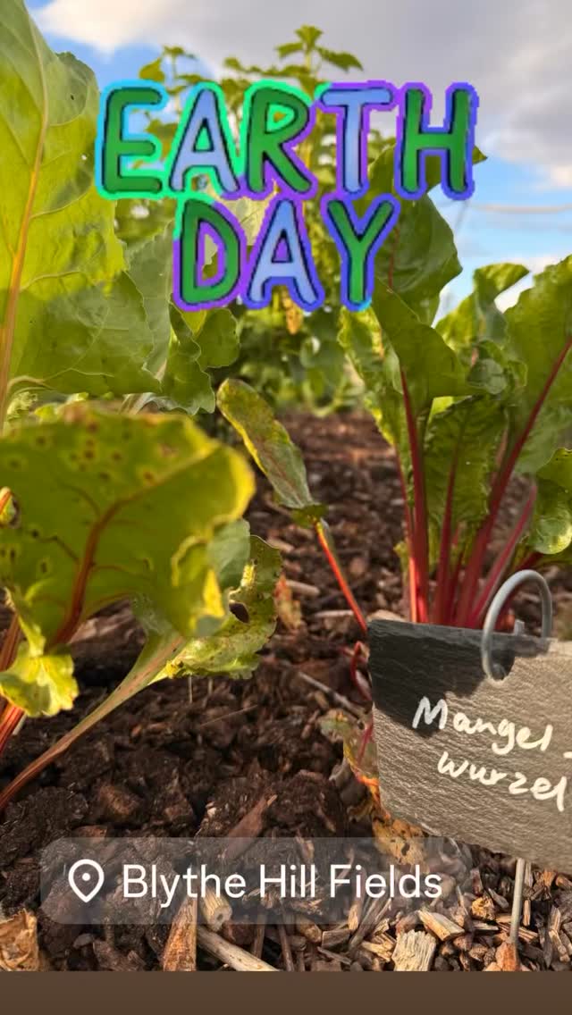 Earth Day - The perfect time to appreciate what is good and to cherish what we have #earthdayeveryday