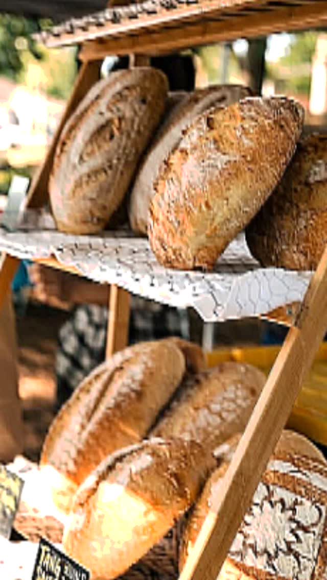 See you there @belmontnc_farmersmarket 11-2 in Stowe Park in downtown Belmont. We'll have breads, bagels and a few treats!
Come early. We bake small on purpose and we often sell out early.
📷 cred @watanabelane
#LocalGlutenDealer #tangandsass #localbread #sourdough #belmontnc