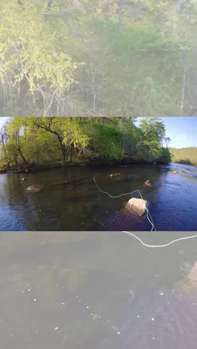 No brown trout were harmed during the making of this video.
~
#flyfishtn #flyfishing #browntroutonthefly #thehatchoutfitters #hatchout
