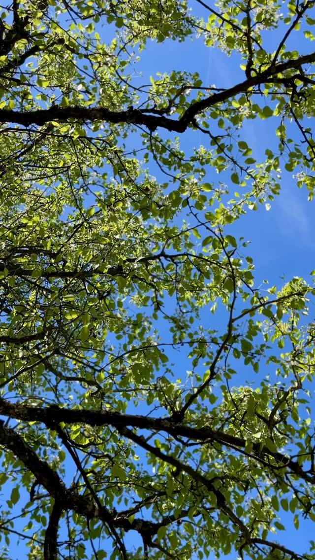 Einen Moment durchatmen und sein…
#neurodiversität #mentalhealth #adhs #autismus