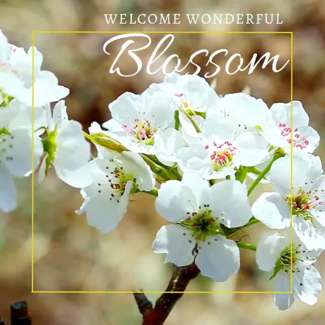 🌸 V O O R J A A R S V O O R D E E L 🌸 @ Mille Fleurs Apartments
Spring is in the air! We all feel like going out: walking shoes on, bike out of the shed. Perfect time to get to know the Voer-region in all its facets.
ENJOY A 15% DISCOUNT ON OUR UNIQUE APARTMENTS IN THE BELGIAN VOERS REGION IN MAY
👉 For more information, visit www.millefleurs.be
De lente is aangebroken! We krijgen allemaal weer zin om er op uit te trekken, wandelschoenen aan, de fiets uit de schuur.
Perfecte tijd om de Voerstreek in al zijn facetten te verkennen.
GENIET IN MEI VAN 15% KORTING OP ONZE UNIEKE APPARTEMENTEN IN DE BELGISCHE VOERSTREEK
👉 Kijk voor meer info op www.millefleurs.be
#springpromo #springishere #whataview #beautifullandscape #naturelover natuur voeren limburg voerstreek wandelen hiking millefleurs appartementhuren vakantiehuis vacation rent apartment rentapartment vlaanderenvakantieland ilovelimburg vakantieineigenland sintpietersvoeren altijdlimburg belgium visitlimburg wanderlust bronnenwandeling wandelparadijs