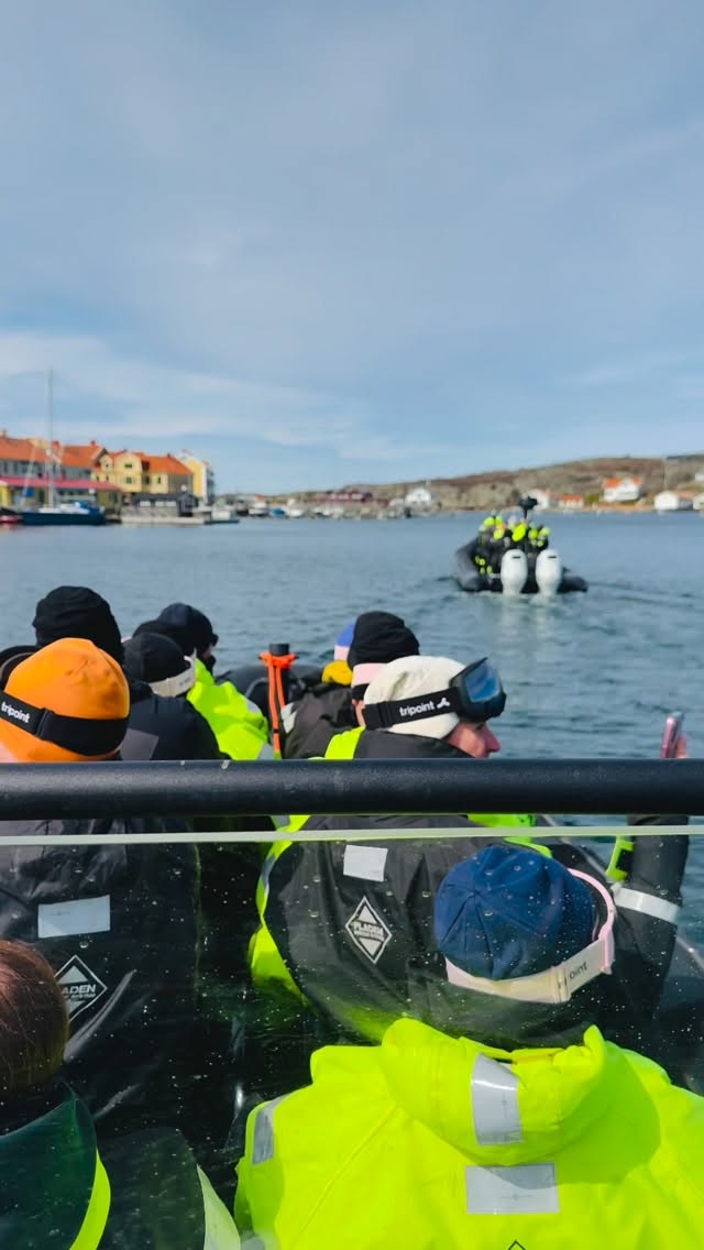 Ribbåt med kollegorna!
Samla kollegorna och följ med oss ut på ett äventyr! Vi skräddarsyr turen helt efter era önskemål. Lunch, middag, 3-kamp, sälar, krogstopp, ostronprovning eller bara en härlig tur på havet.
Läs mer om våra färdiga paket på RibX.se eller slå oss en signal
#ribx #konferens #ribbåt #konferensaktivitet #konferensaktiviteter