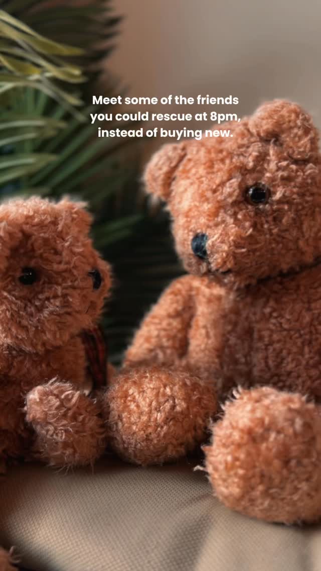 Over 150 new friends arriving online at 8pm, just waiting for their next chance at love. Come and meet them in a couple 🥰🐻♥️