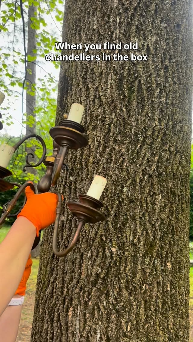 At Villa Sofia, creativity gives new life to old objects that once seemed to have lost all value.
We are truly grateful for the nature that surrounds us and we love to make it even more magical for our events.
Soon, we will share with you the magic of this garden under the moonlight. 🌙
#privatevilla #events #nature #creativity #fairyforest