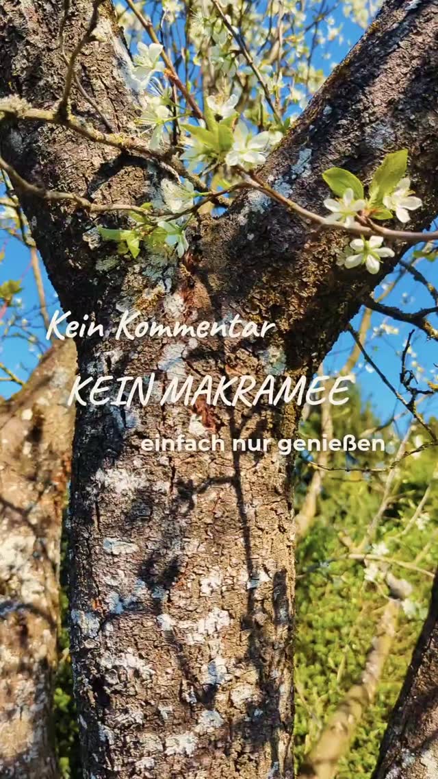 Heute mal kein Reel von einem neuen
Boho-Makramee Schmuckstück , kein Kommentar zu irgendwelchen tollen Handwerks Themen...
Einfach nur mal kurz die Welt anhalten die Ruhe genießen und entspannen🌸
gerade sitze ich im Garten, schaue in die Blüten und genieße die Stille und beobachte die Vögel.
Keine Termine, keine To-dos, einfach nur das Hier und Jetzt mit meiner Familie. Solche Momente liebe und genieße ich.
Ich hoffe, ihr findet heute auch so ein schönes Plätzchen zum Durchatmen! ✨
Habt es alle fein und genießt das Wochenende
Herzliche Grüße Katharina 🌱✨🫶🏼🏞️☀️
