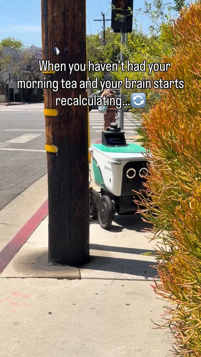 Can someone please give these robots Tea Thief Tea … ☕️ 🤣