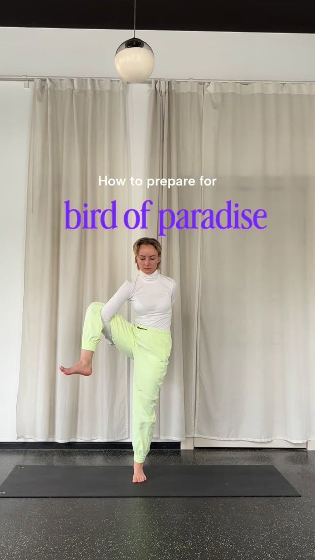 Bird of Paradise 🕊️ is one of those poses that asks everything from you at once.
Different shoulder rotations.
Length through the side body.
Inner and outer hip opening.
Balance, strength, coordination — all happening at the same time.
It’s not just about flexibility.
It’s also about training your brain to coordinate different actions in your body at the same time.
My favorite preparations for this pose:
1️⃣ Bound Extended Side Angle: the closest blueprint for Bird of Paradise
2️⃣ Bound Triangle: builds awareness in the bind + hamstring space
3️⃣ Side Angle at the wall: helps activate and stabilize the hips
4️⃣ Warrior 3 with Gomukhasana arms: helps your brain get used to balancing on one foot while the shoulder blades move in different directions
#birdofparadisepose#yogateacher