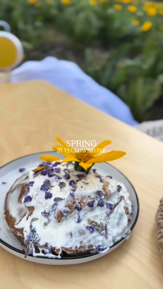Spring in Yellowstone = wildflowers, picnic snacks, happy kids, and zero interest in going back inside. 🌼🧺✨
#yellowstonepeaks #yellowstone #springinyellowstone #islandpark #visitidaho familytravel picnicvibes mountainlife yellowstonenationalpark springgetaway