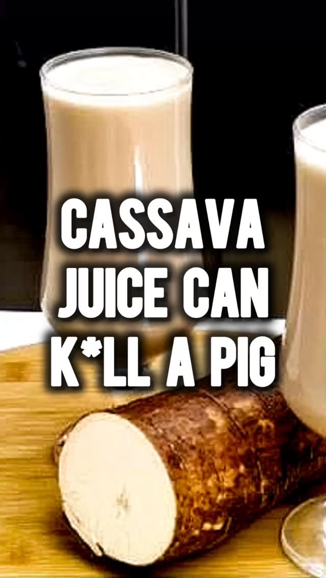 CASSAVA IS DANGEROUS. TRY FONIO INSTEAD #etlntd