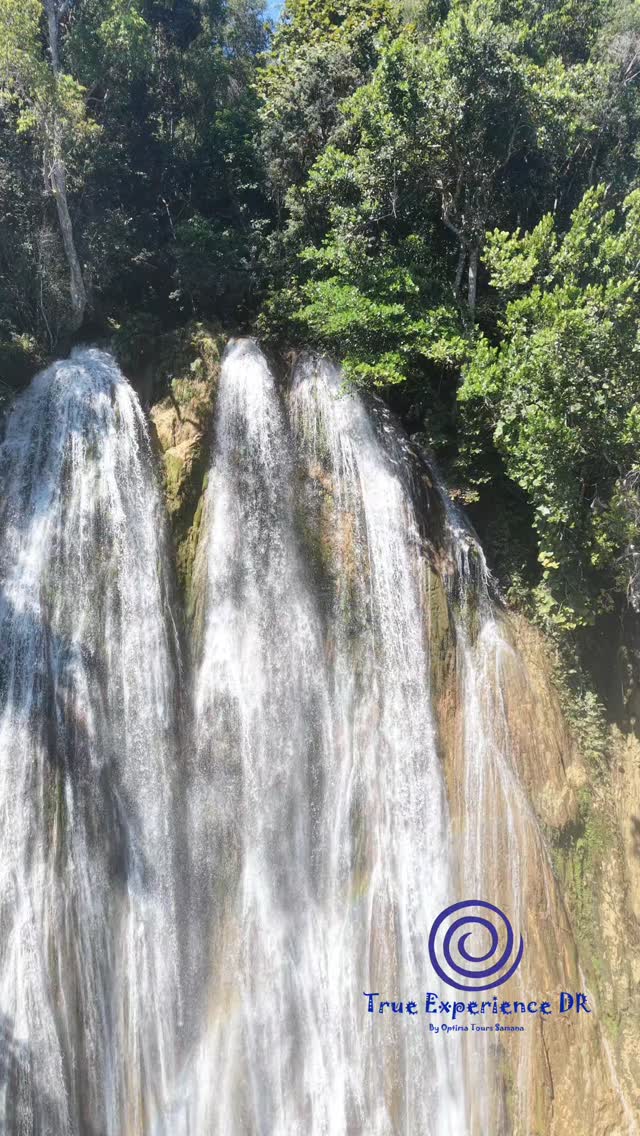 Unspoiled nature, rivers, waterfalls, rainforest, Samaná is more than beach and sun. Enjoy it.
#Samana #rainforest #lasterrenas #truexperiencedr #dominicanrepublic
