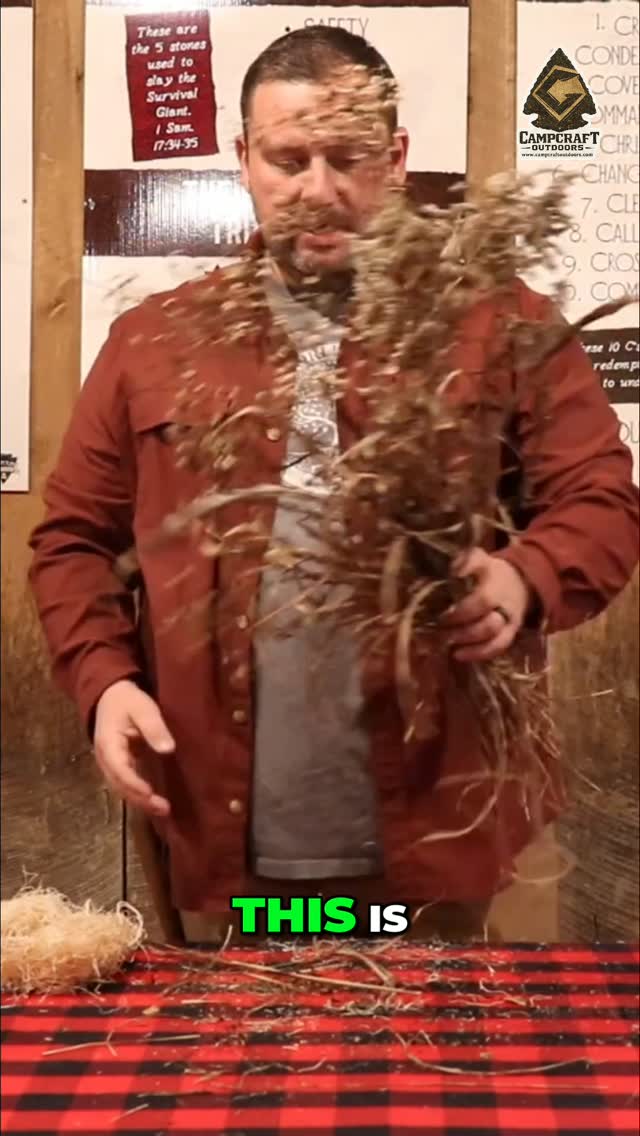 Fire starter alert! 🔥 Dry, fibrous plants that snap and break into strands? That's your golden ticket to a roaring blaze. Forget those flashy-but-fleeting tinders. Grab this stuff and get your sustainable fire going! #CampCraftOutdoors #FireStarting #Bushcraft #OutdoorSkills #CampingHacks #SurvivalTips #Wilderness