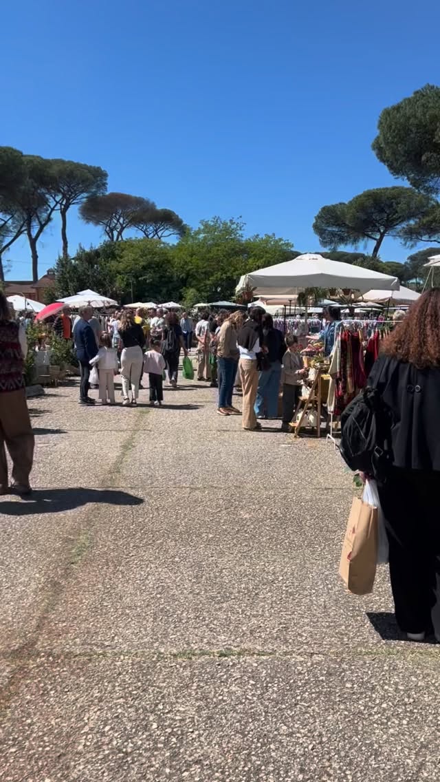 #melaenocciola #orsettisana #fruttaliofilizzata #tisana #floracult #fruttadisidratata #senzazucchero #chipsdifrutta #pierrepauljacques #