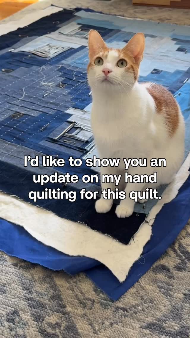 Yes I realize this is the second video I’ve posted of Troy and Penny on this quilt. That’s because I’m not kidding! I can’t pull out this quilt without them standing on it or burrowing under it.
I’d like to share some better update photos of the quilting but I can’t. What? You think I should take the quilt into a different room and close the door so they can’t get in?? How rude.
I mean, I don’t have a ton of progress to share (because cats). But I wanted to share how pleasantly surprised i am at how it’s going. I’m quilting with cream thread on denim which means you can see every stitch, and it’s pretty cool actually 😊.
I’m hoping to finish the quilting in a week or so (unless of course cats), and then I have to decide if I’m binding or facing it 🤔.