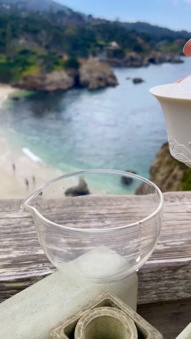 Taking care of your body can be simple 🌿
Drinking hibiscus regularly may help support your liver by reducing fat buildup and keeping it functioning at its best. It can also support weight management by helping your body handle fat more efficiently—potentially leading to lower body weight and BMI over time.
Small habits, real impact 💪
#hibiscustea #detoxtea #hibiscusflowers🌺 #drinktea