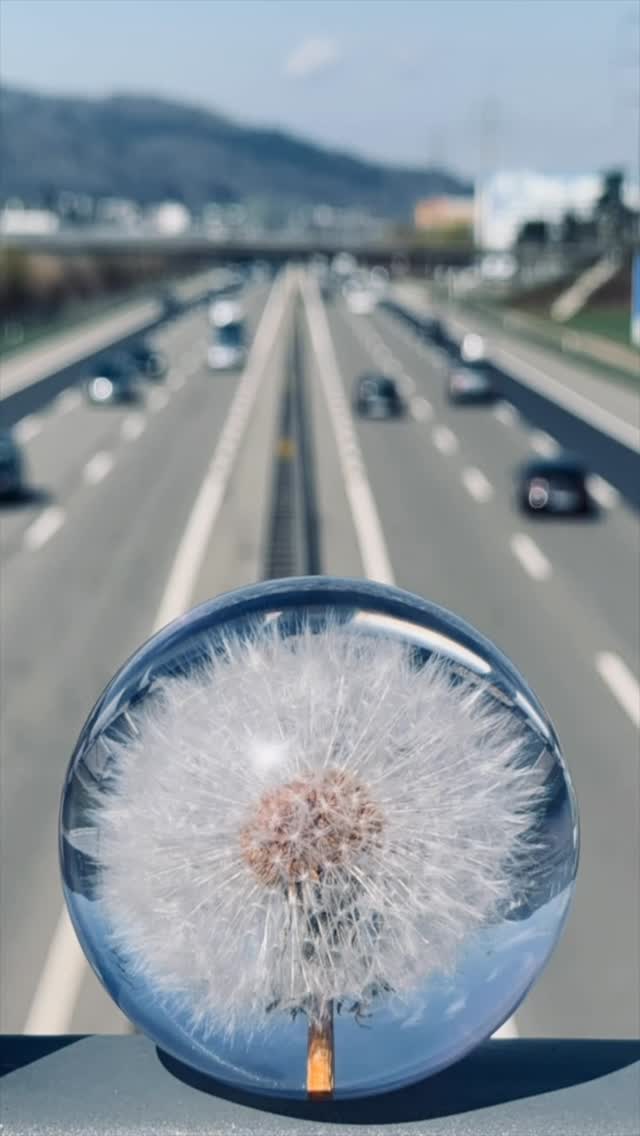 D’Stilli i de Glaschugle, s’Ruusche vo de Autobahn i de Ferni, Richtigswächsel im Takt vo de Musig, kreativs Canvas-für-Spotify-making in Höchstform 🥳 Es macht immer wieder Spass, nach de Musig, zäme mit so kreative Mänsche d’Kunscht wiiter z’gstalte!